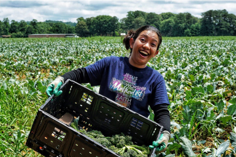 Permalink to:Agricultural Program (Gleaning)