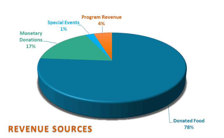 revenue sources 2025